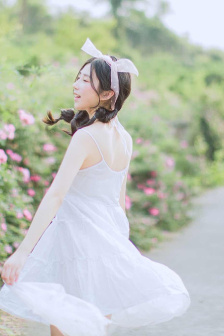 元龙动漫